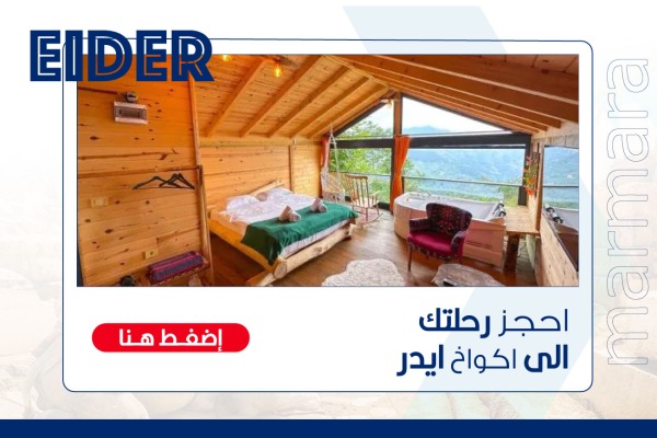 Eider