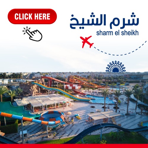 مصر